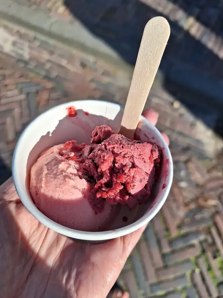 Menu_Vidaro IJs en Spijs_Hippolytushoef_imagen_6