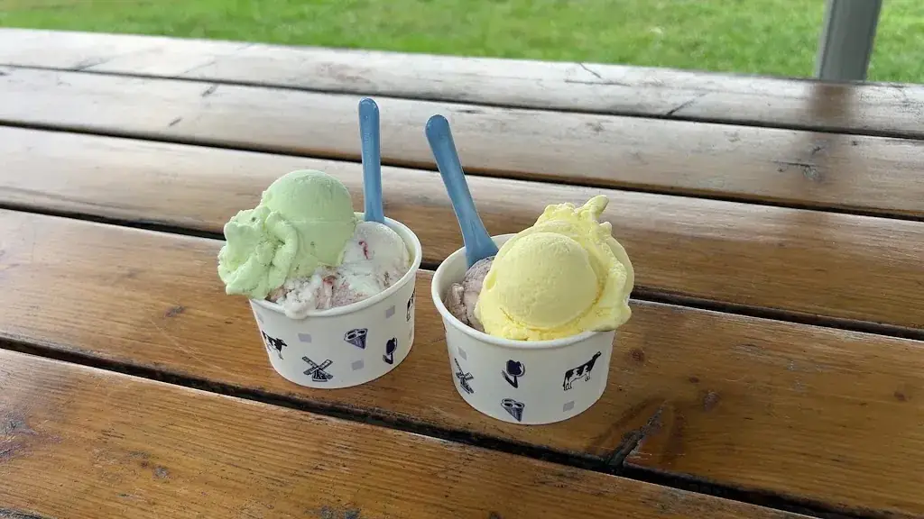 Josh Baltazar_IJsboerderij Labora_Cocksdorp_recensione