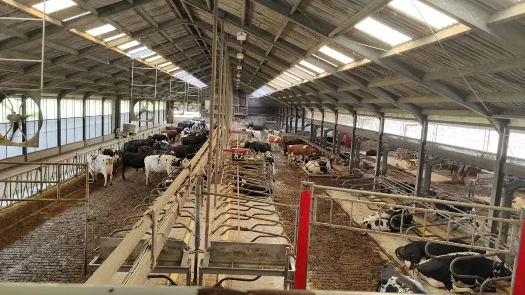 Saravanan G_IJsboerderij Labora_Cocksdorp_recensione