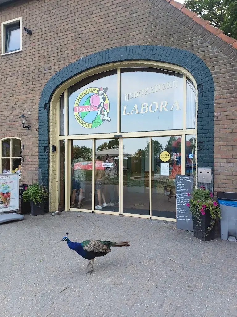 IJsboerderij Labora_Cocksdorp_slider_image_3