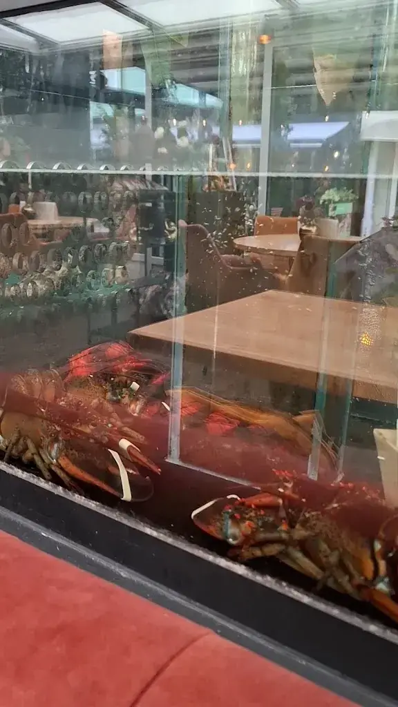 Restaurant Passie Texel_Koog_slider_image_2