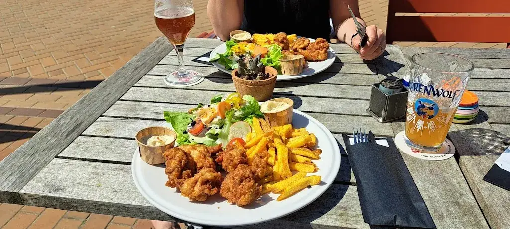 A. S._Pollo_Koog_review