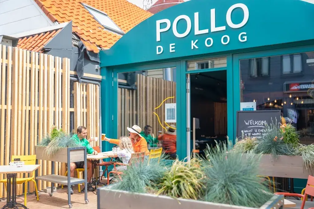 Pollo_Koog_slider_image_1