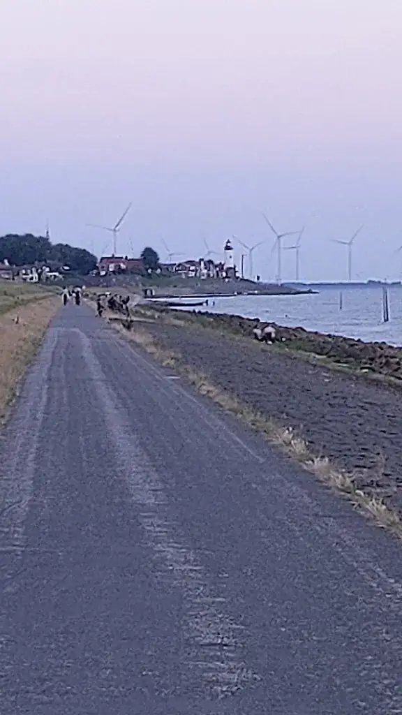 Janet Lowe_Vakantiepark 't Urkerbos_Urk_review