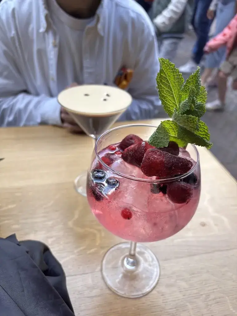 Neph_VADERLOOS_Delft_review