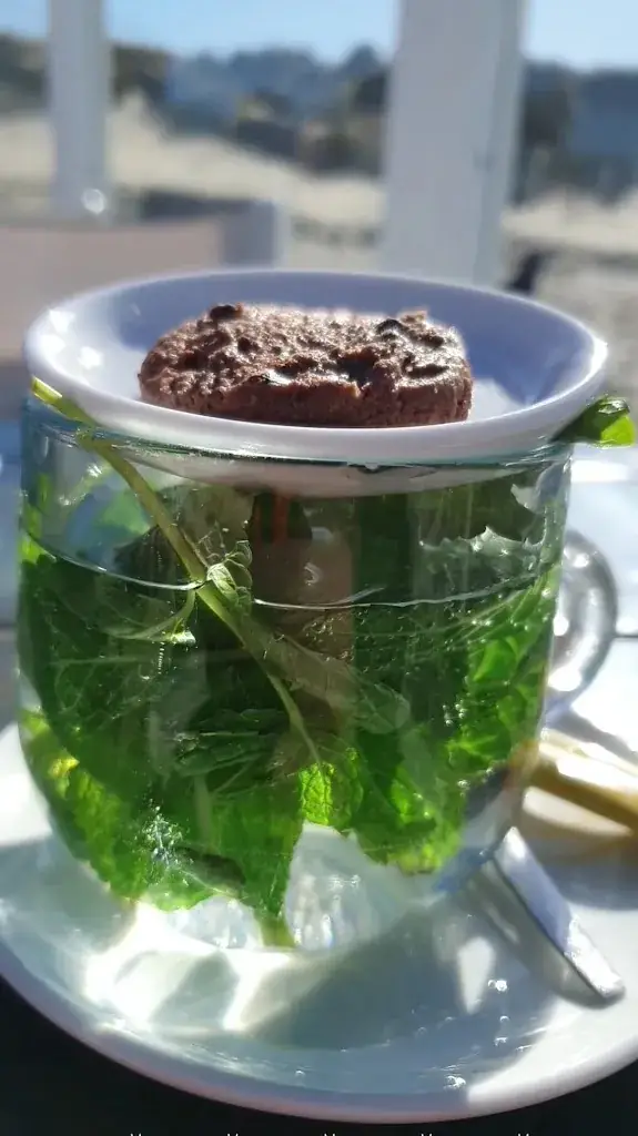 Strandpaviljoen Strandpaal 21_Koog_slider_image_2