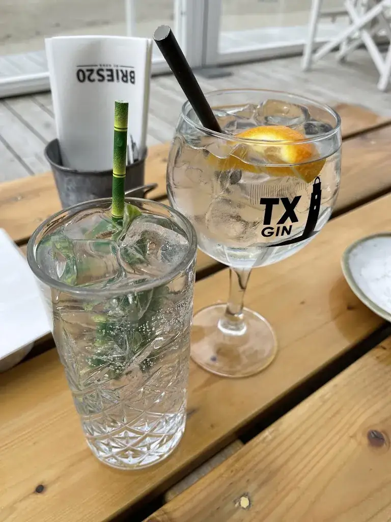 Shen Liu_Bries20_Koog_review