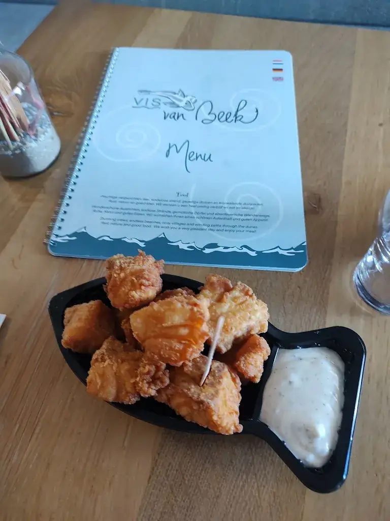 Driver Anonymity_Vis Van Beek_Koog_review