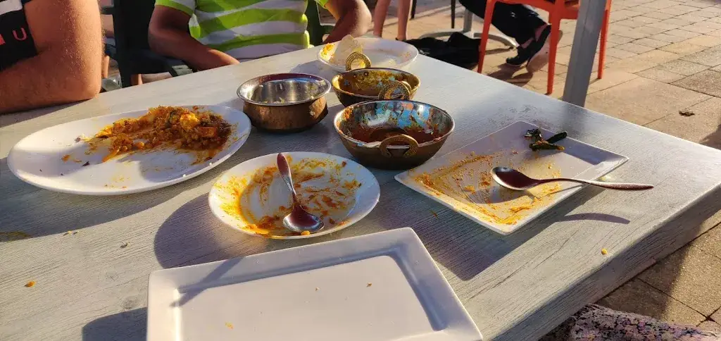 himani Sharma_Taj Mahal_Koog_reseña