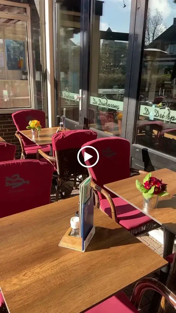 Cafe de Driesprong_Landsmeer_slider_image_2