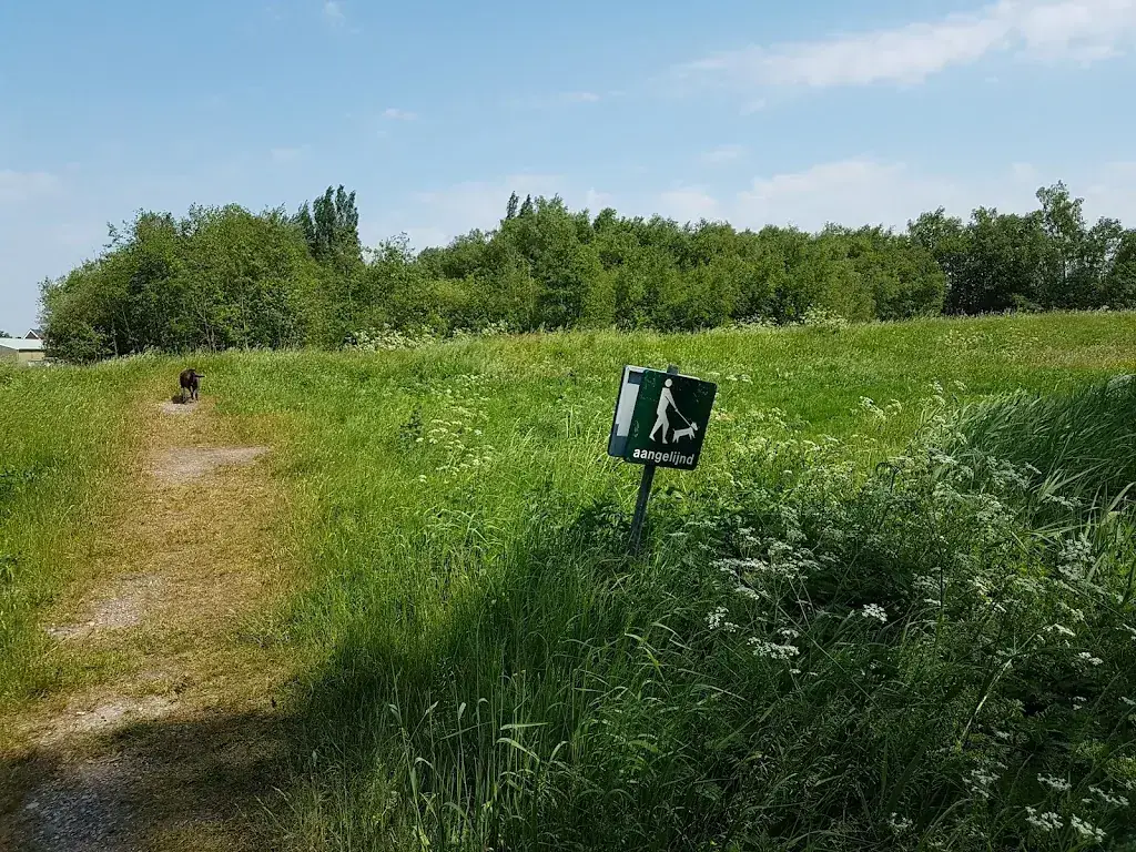 Den Ilp_Ilp_slider_image_2