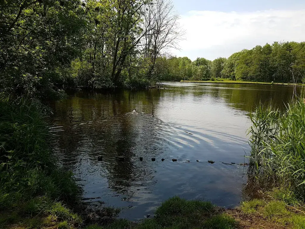 Den Ilp_Ilp_slider_image_3