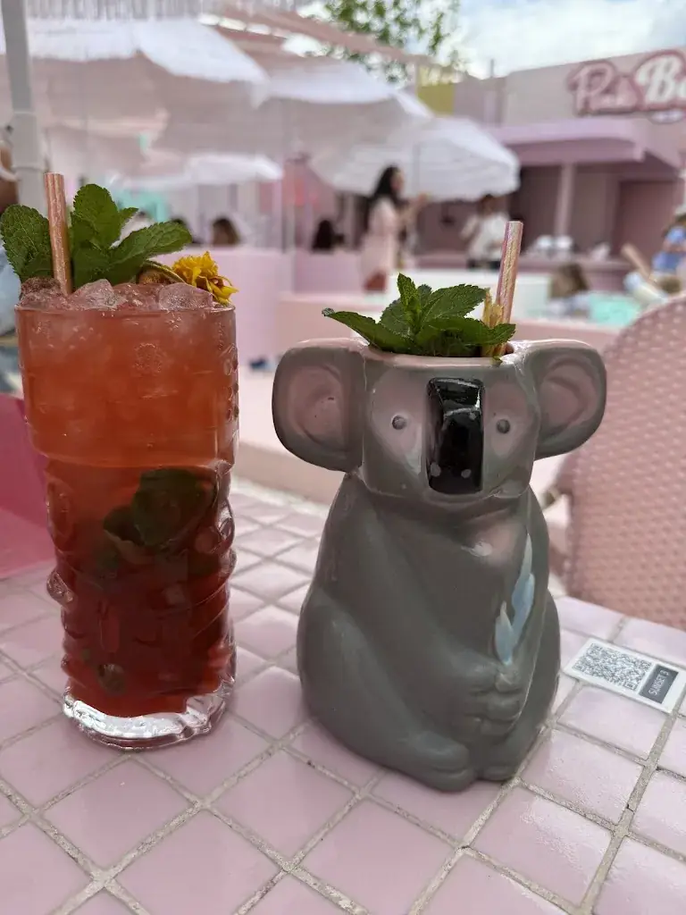 Katarina B_Pink Beach by WONDR_Amsterdam_review