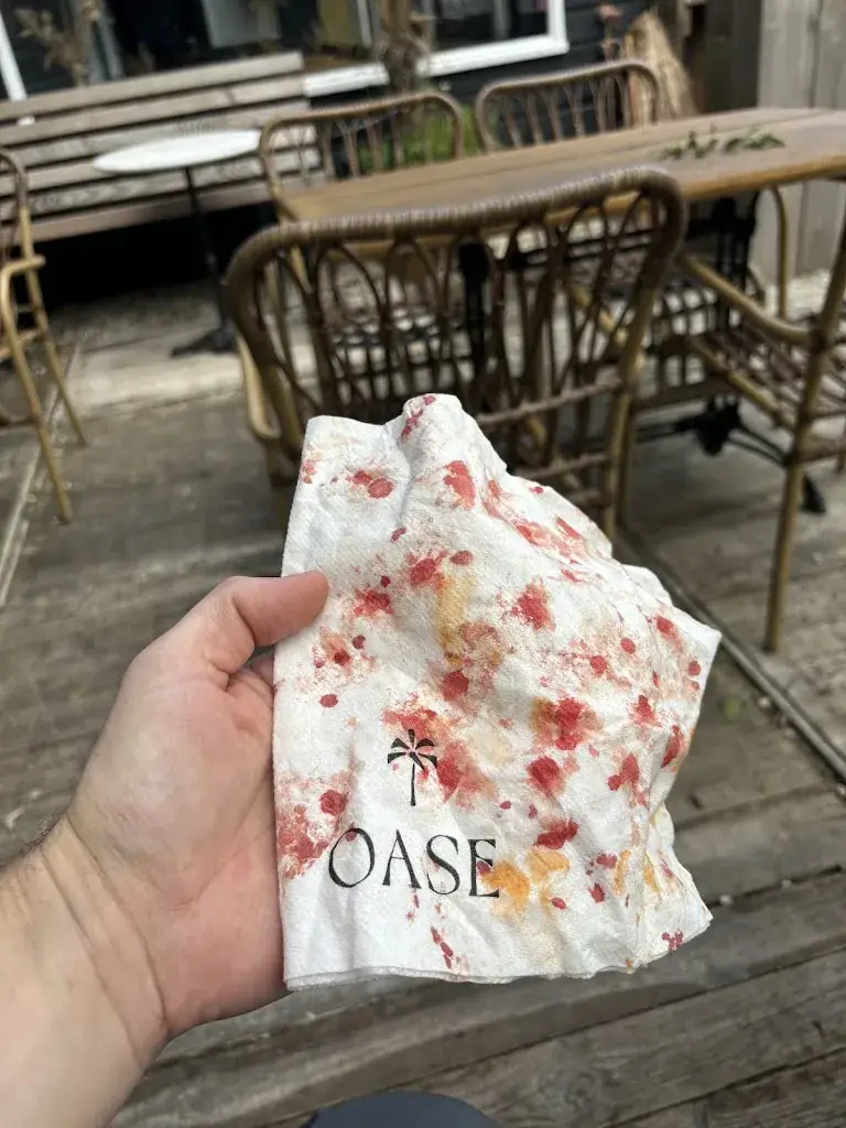 Ryan Matos_OASE Schellinkhout_Schellinkhout_review