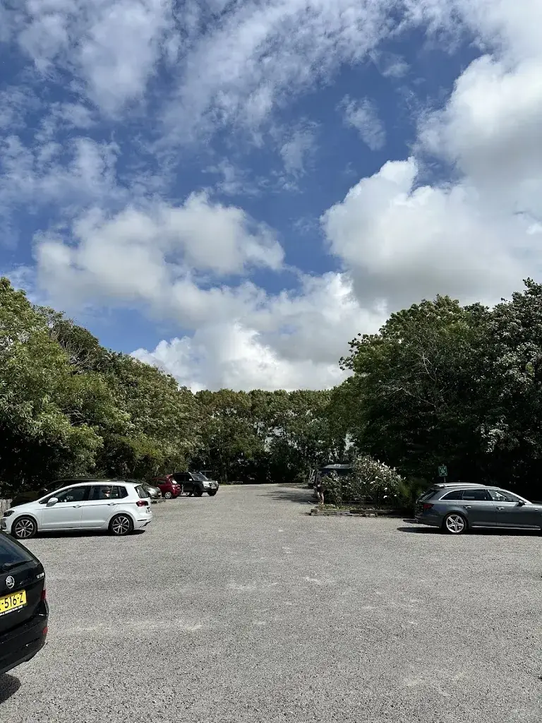 Hatef Rad_Novalishoeve_Texel_review