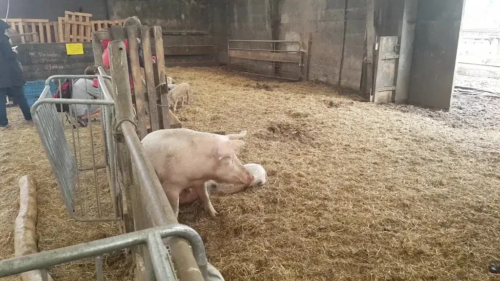 Novalishoeve_Texel_slider_image_2