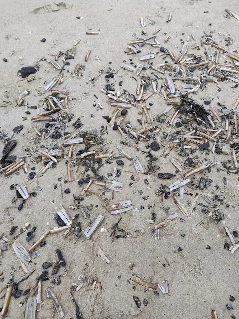 Brendan Hase_Strandpaviljoen Twaalf_Burg_review