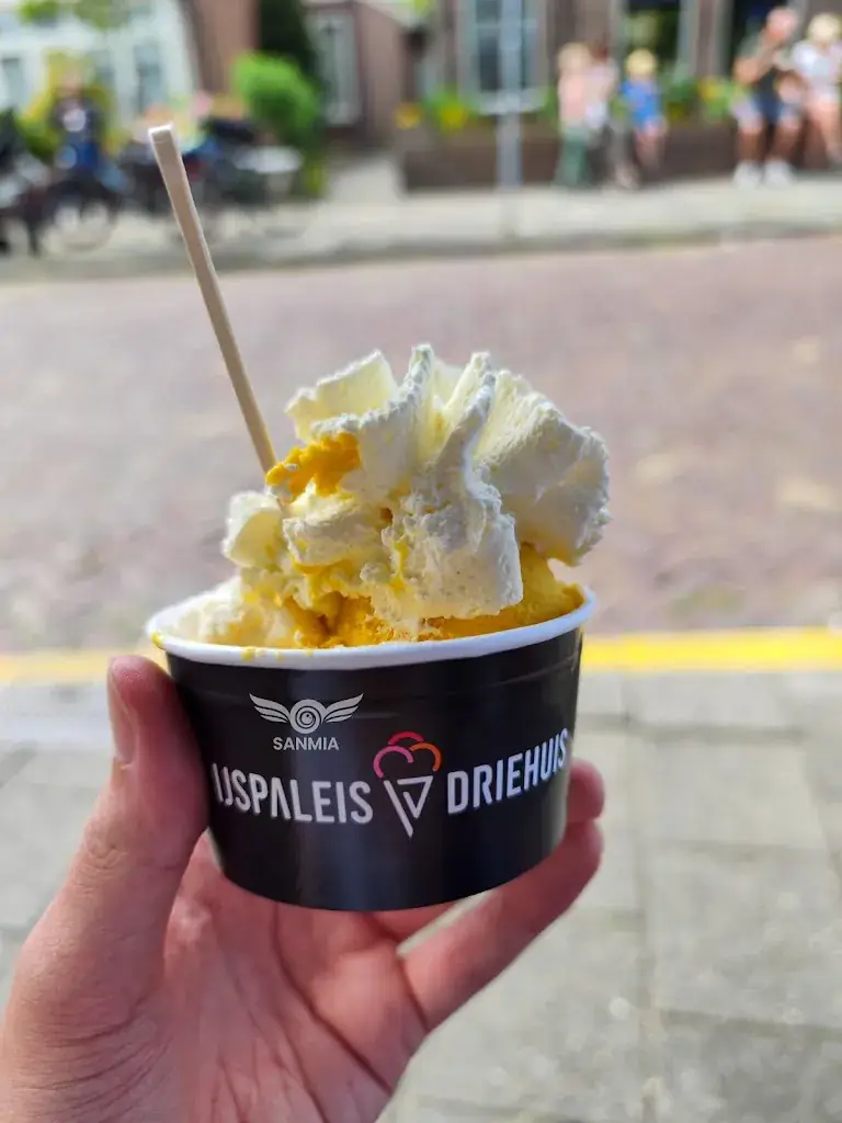 Menu_IJspaleis Driehuis_Driehuis_image_5