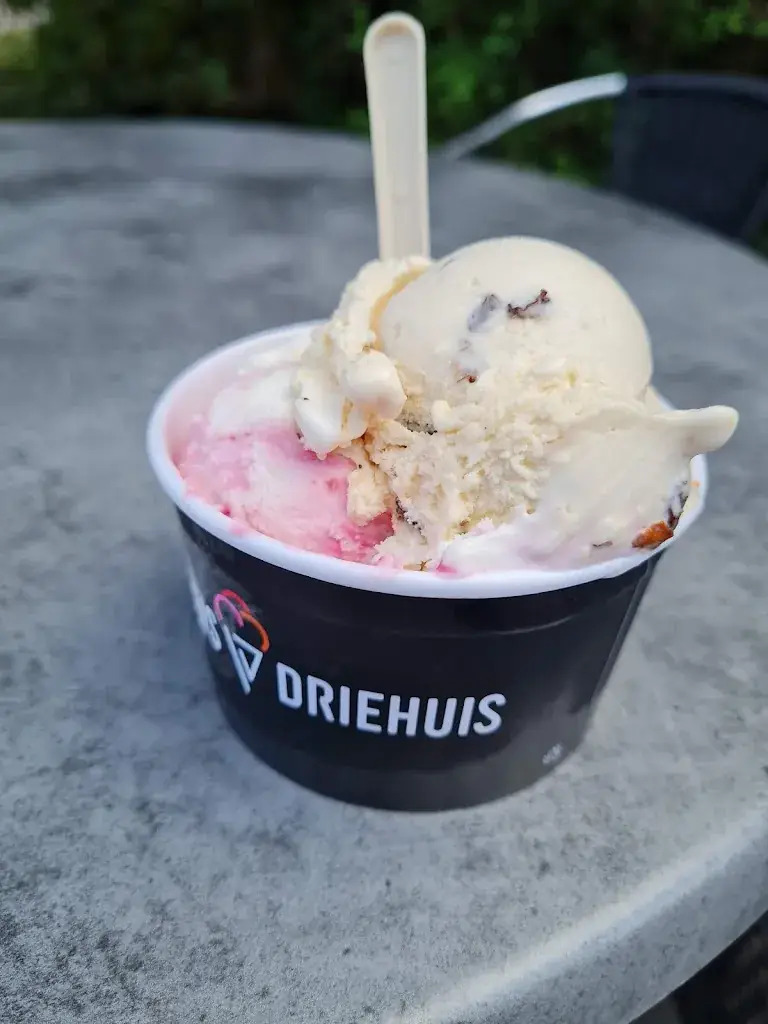 Menu_IJspaleis Driehuis_Driehuis_image_8