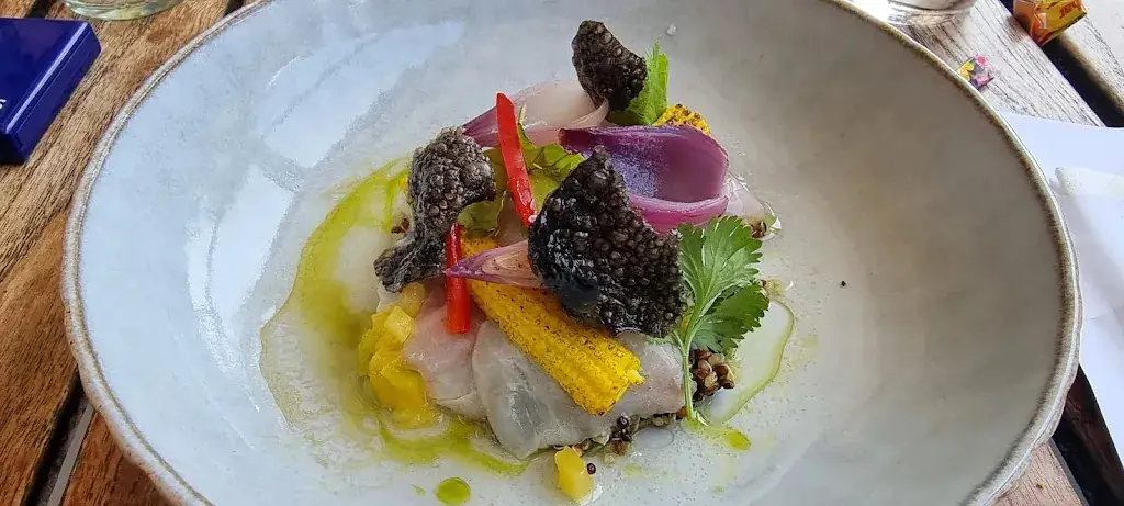 Walter van Praag_De Veranda_Amsterdam_review