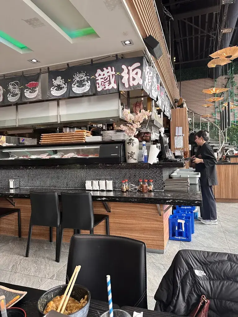 Cate Carroll_Tanuki_Amsterdam_review