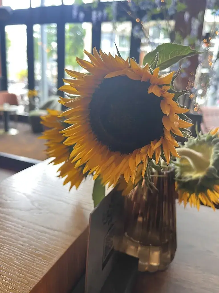 Estelle Rachél_Le Baron_Almere_avis