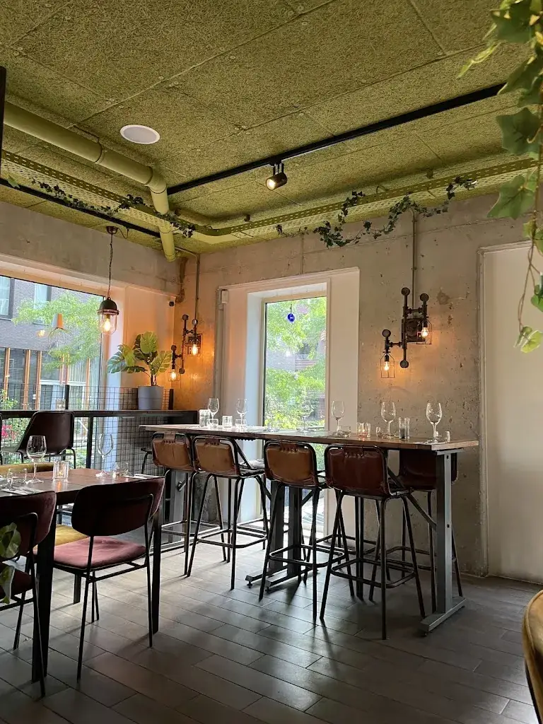 Anita Gimpelson_Limon_Amsterdam_review