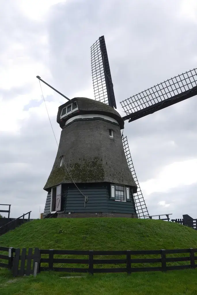 Thea Boonstra_Etersheimer Braakmolen_Oosthuizen_review