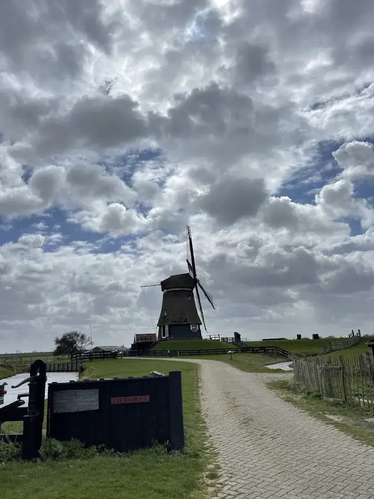 Chris van Vleuten (AI & Video)_Etersheimer Braakmolen_Oosthuizen_review