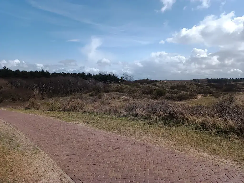 Gerbrand Bosman_Nieuw Westert_Egmond-Binnen_review