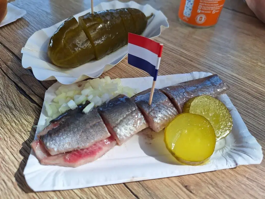 Marcin Perkowski_De Visboet_Zee_review