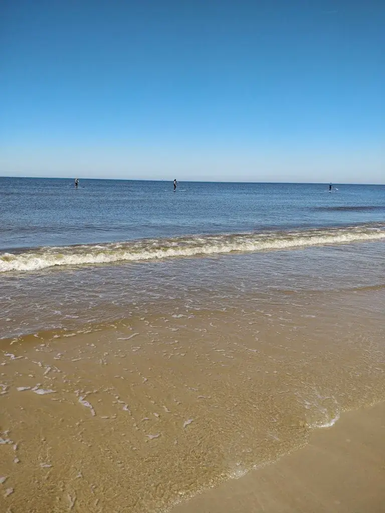 Moyee Sarie Mika_Evi Beach Egmond aan Zee_Zee_review