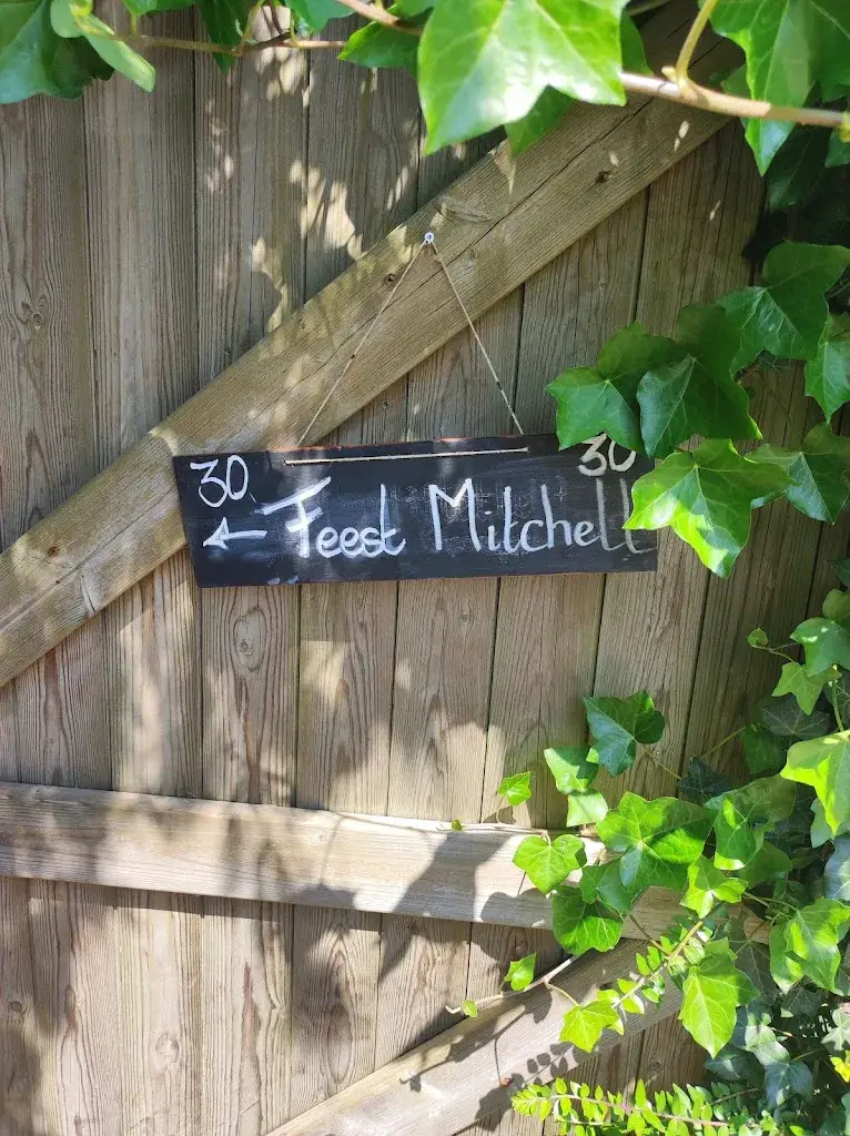 Mitchell_Robacher's Watermill_Hauwert_reseña