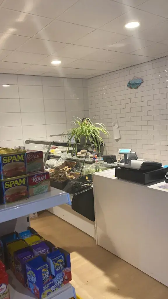 Wingson Thijsen_Bon Sabor Afhaalcentrum_Almere_review