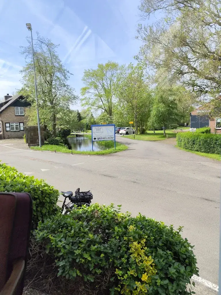 Ricardo Martinho_De Zoete Inval_Haarlemmerliede_review