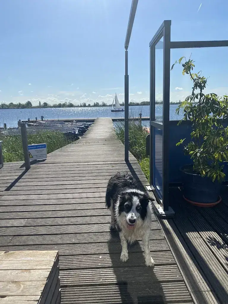 Athalie Stegeman_Paviljoen Loef_Haarlem_review