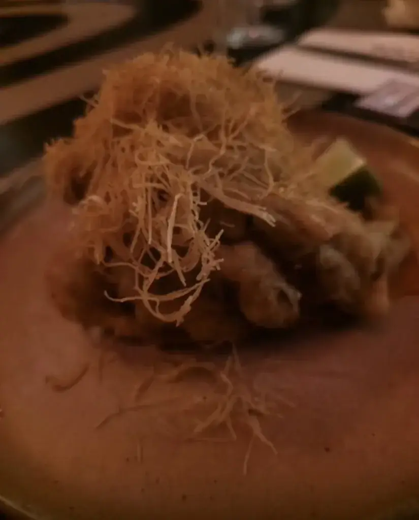 haniyeh sarafi_Toujours_Haarlem_review