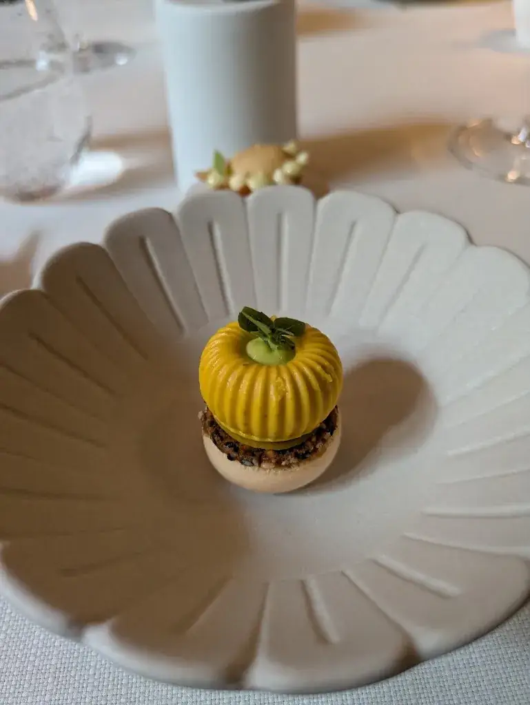 jean-françois suret_Ratatouille Food & Wine_Haarlem_review