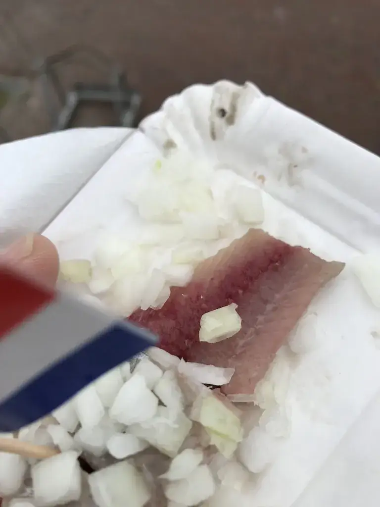 Menu_Balk Visch aan 't Spaarne_Haarlem_image_9