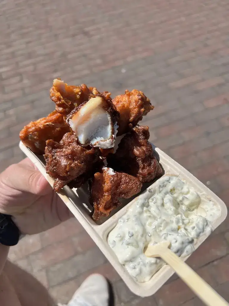 Stanislav Suško_Balk Visch aan 't Spaarne_Haarlem_review