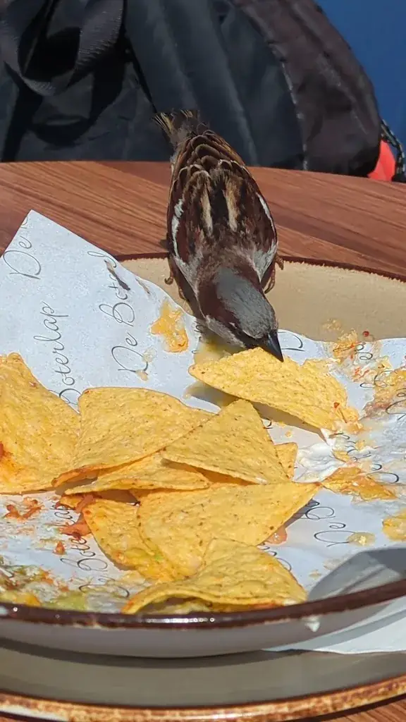 De Boterlap_Harderwijk_slider_image_2