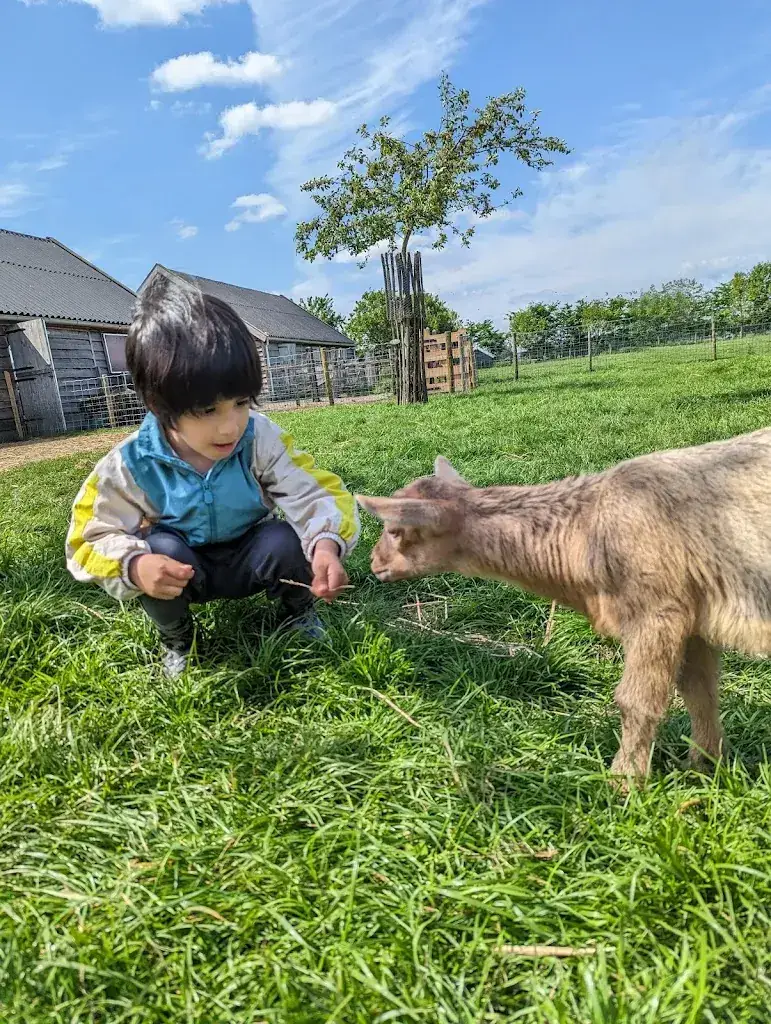 Ketzel Ramirez pineda_Juffrouw Jansen_Hilversum_review