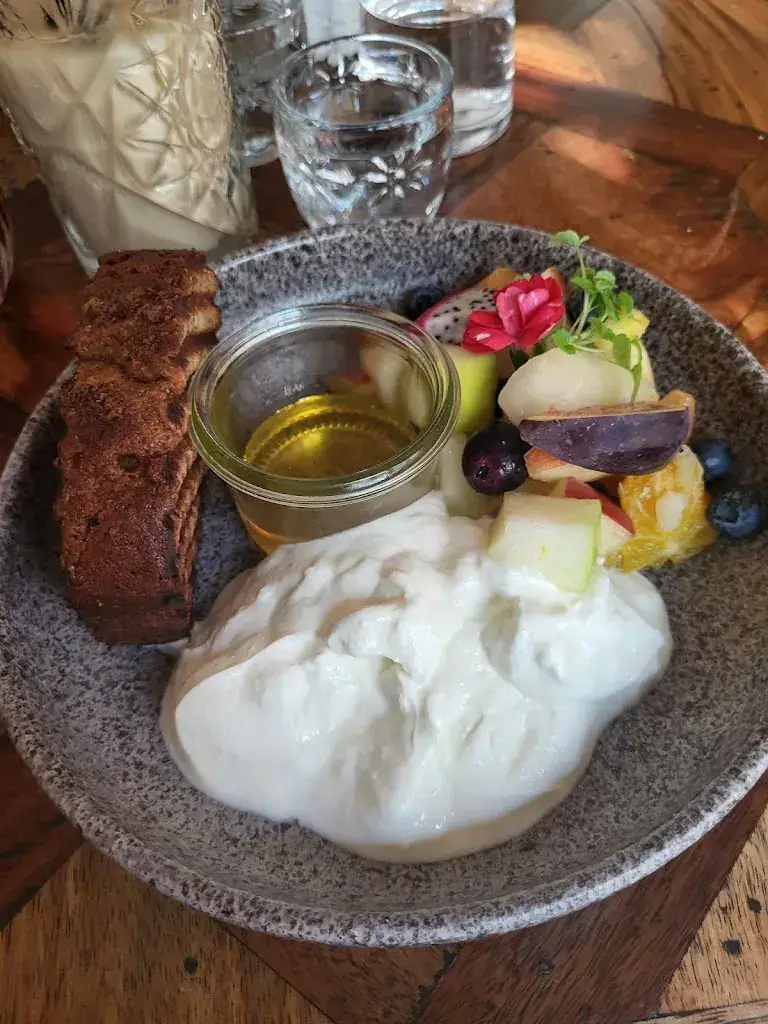 Niamh F_TOAST_Haarlem_review