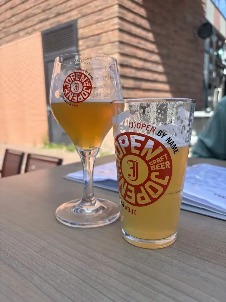 CA. Rohan Kulkarni_Jopen_Haarlem_review