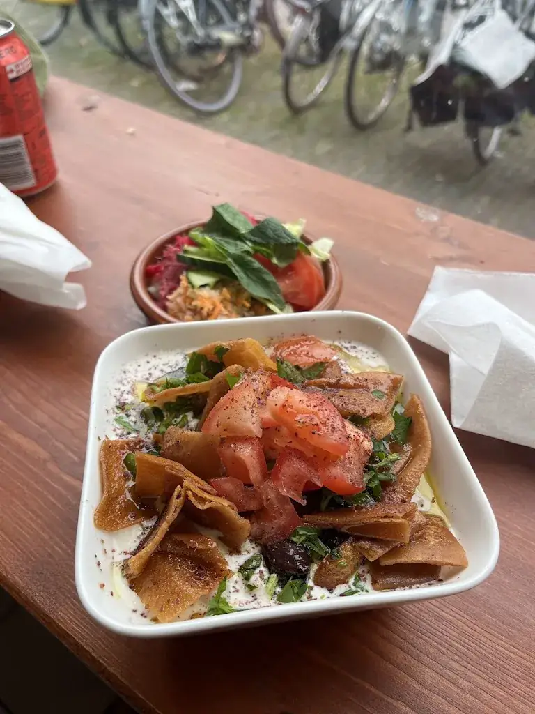 Shannon Doheny_Syriously_Haarlem_review