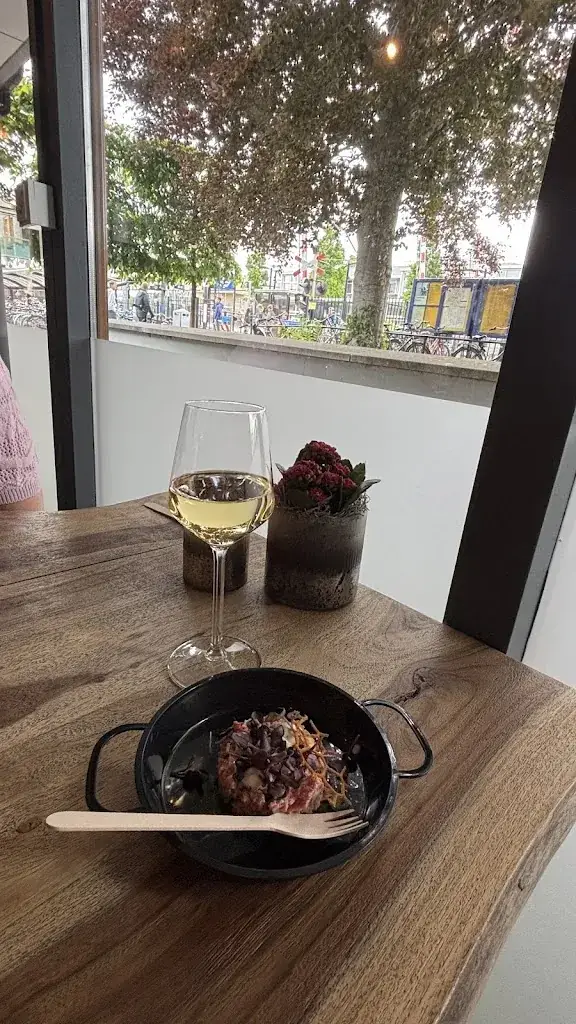 Diny van Hal_RAILS_Heiloo_review