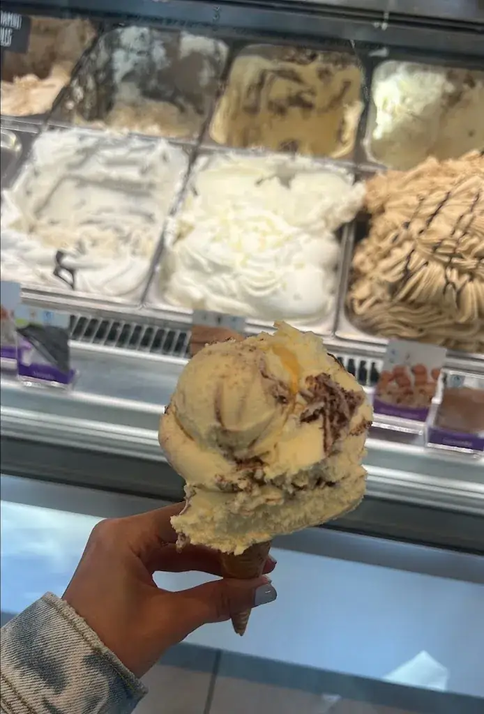 Sansa_Ice cream Di Fiorentina_Heiloo_reseña