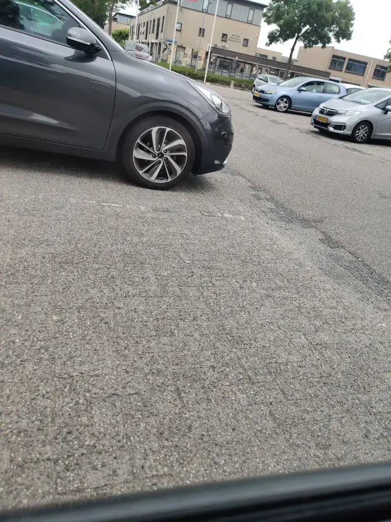 Lavanya Manogaran_Restaurant Delight_Heemskerk_review