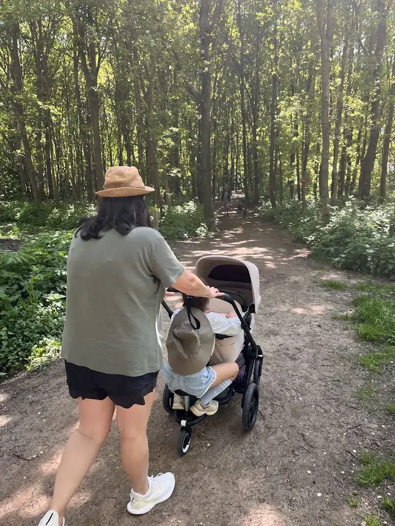 Serdar Kalkan_House of Bird Diemerbos_Diemen_review