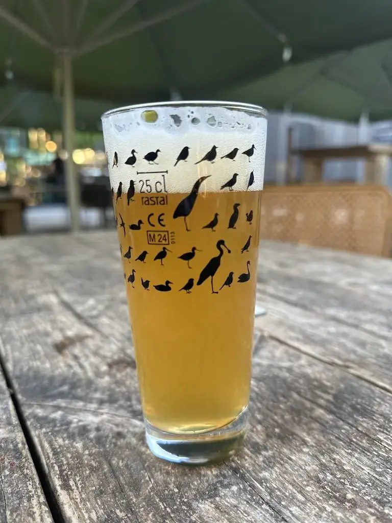 Sadaf Mehr_House of Bird Diemerbos_Diemen_review